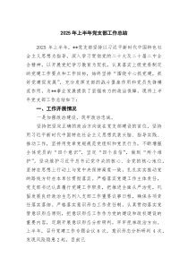 2025年上半年党支部工作总结（5例）