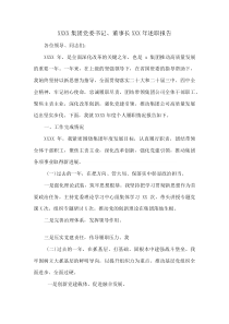 XXXX集团党委书记、董事长XXX年述职报告