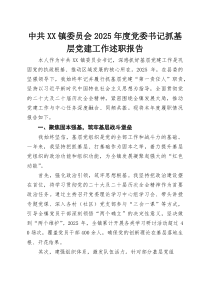 中共XX镇委员会2025年度党委书记抓基层党建工作述职报告