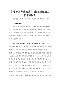 公司2025年度党委书记抓基层党建工作述职报告_1