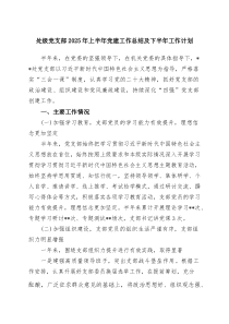 处级党支部2025年上半年党建工作总结及下半年工作计划（5篇合集）