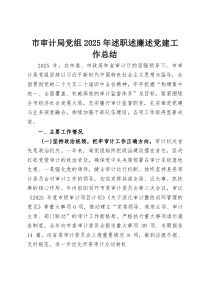 市审计局党组2025年述职述廉述党建工作总结