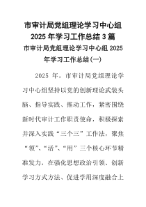 市审计局党组理论学习中心组2025年学习工作总结3篇