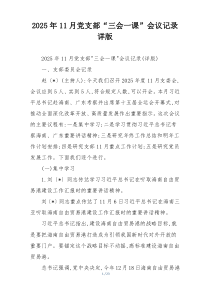 (整理)2025年11月党支部“三会一课”会议记录详版