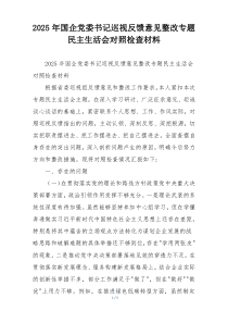(整理)2025年国企党委书记巡视反馈意见整改专题民主生活会对照检查材料