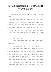 (整理)2025年度巡察反馈意见整改专题民主生活会个人对照检查材料