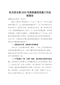 机关党支部2025年度抓基层党建工作述职报告
