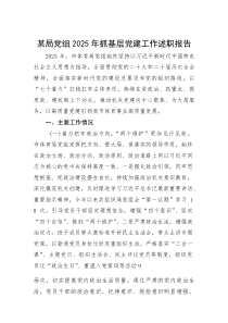 某局党组2025年抓基层党建工作述职报告