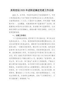 某局党组2025年述职述廉述党建工作总结