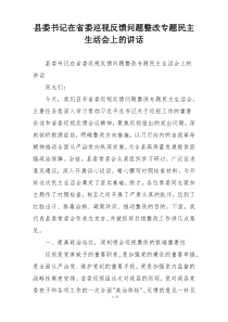 (整理)县委书记在省委巡视反馈问题整改专题民主生活会上的讲话