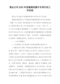 (整理)国企公司2025年党建规范提升专项行动工作总结