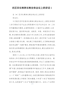 (整理)在区田长制林长制全体会议上的讲话1