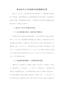 镇20XX年上半年经济社会发展情况汇报