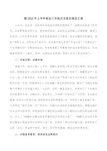 镇20XX年上半年综治工作执行及落实情况汇报