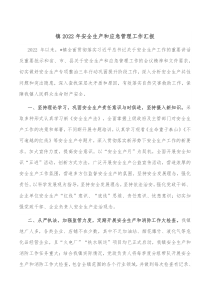 镇20XX年安全生产和应急管理工作汇报