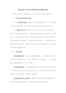 镇20XX年年初以来经济运行情况汇报