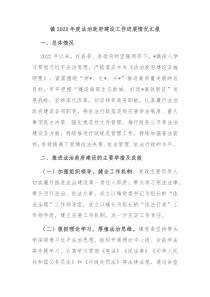 镇20XX年度法治政府建设工作进展情况汇报 (56)