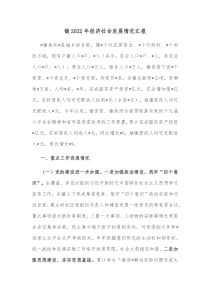 镇20XX年经济社会发展情况汇报