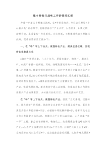 镇乡村振兴战略工作的情况汇报