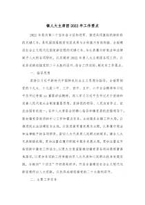 镇人大主席团20XX年工作要点