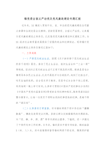 镇党委全面从严治党及党风廉政建设专题汇报