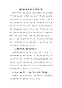 镇开展纪律教育学习月情况汇报