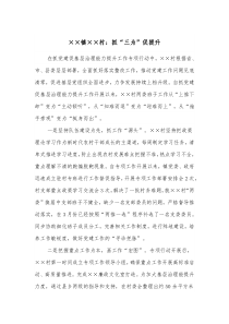 镇村抓三为促提升