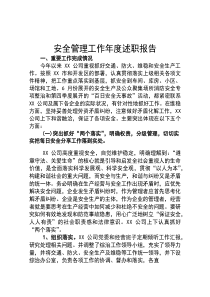 2025安全管理工作年终述职报告（12页）