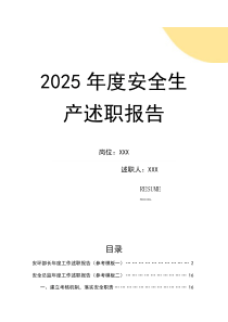 2025安全负责人年度述职报告汇编（32页）