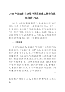 2025年党组织书记履行基层党建工作责任述职报告（精品）