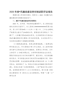 2025年度党风廉政建设责任制述职评议报告