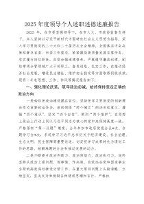 2025年度领导个人述职述德述廉报告