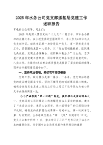 2025年水务公司党支部抓基层党建工作述职报告
