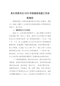 乡党委书记2025年抓基层党建工作述职报告