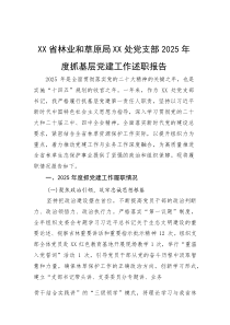 党支部2025年度抓基层党建工作述职报告