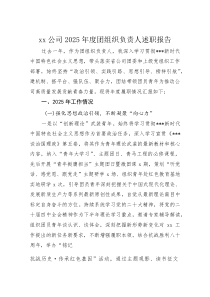 公司2025年度团组织负责人述职报告