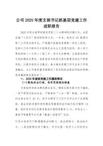 公司2025年度支部书记抓基层党建工作述职报告
