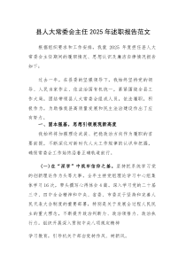 县人大常委会主任2025年述职报告范文