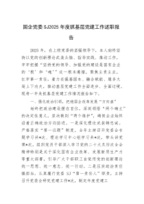 国企党委SJ2025年度抓基层党建工作述职报告