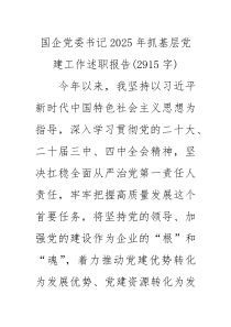 国企党委书记2025年抓基层党建工作述职报告（2915字）
