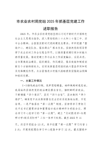 市农业农村局党组2025年抓基层党建工作述职报告