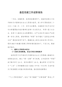 村支书2025年度抓基层党建工作述职报告