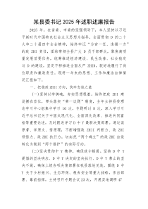 某县委书记2025年述职述廉报告