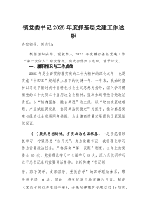 镇党委书记2025年度抓基层党建工作述职