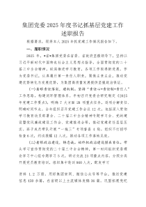 集团党委2025年度书记抓基层党建工作述职报告