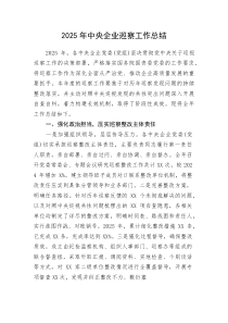 (新编)2025年中央企业巡察工作总结