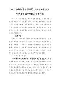 (新编)XX市自然资源和规划局2025年关于政治生态建设情况的自评自查报告