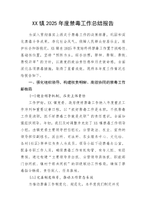 (新编)XX镇2025年度禁毒工作总结报告