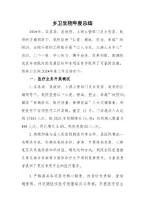 (新编)乡卫生院年度总结