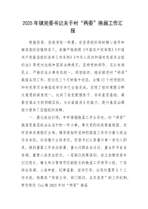 (新编)乡镇书记关于村“两委”换届工作总结汇报